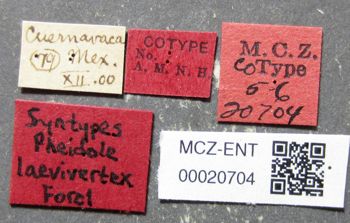 Media type: image;   Entomology 20704 Aspect: labels